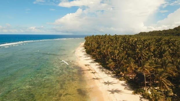 Aerial view beautiful beach on a tropical island. Philippines,Siargao.