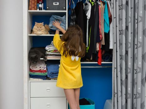 In an open closet, two cats are sitting on shelves with things, a girl puts folded clothes on a shelf with a cat