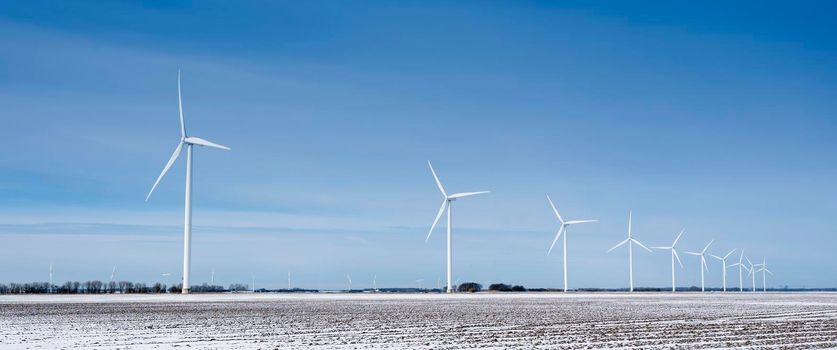 snow covered fields and wind turbines in dutch polder of flevoland under blue sky