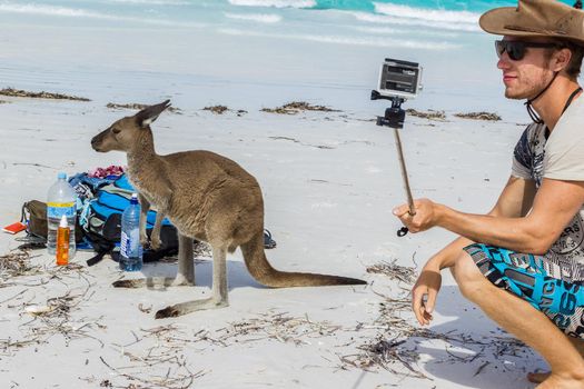 caucasian man is taking a selfie with a beautiful Kangaroo near a backpack at Lucky Bay Beach in the Cape Le Grand National Park near Esperance, Australia