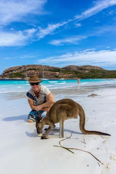 caucasian man with a beautiful Kangaroo at Lucky Bay Beach in the Cape Le Grand National Park near Esperance, Australia