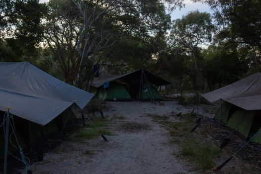Quiet Campsite on Fraser Island, world biggest island out of sand, Queensland
