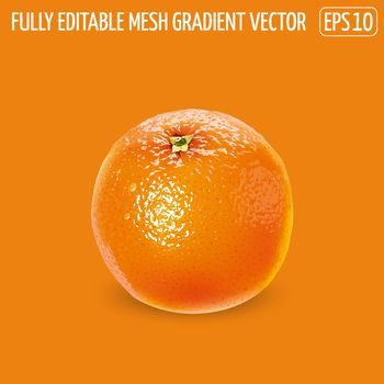 Fresh unpeeled orange on an orange background.