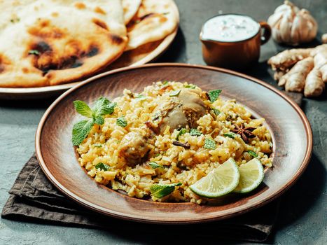 Pakistani chicken biryani rice, copy space
