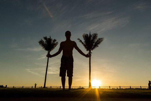 silhouette of young man between 2 palm trees in Broome, Western Australia