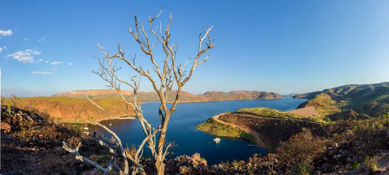 dead tree in front of Lake Argyle is Western Australia's largest man-made reservoir by volume. near the East Kimberley town of Ku
