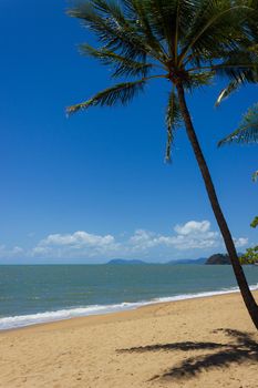 tropischer Strand - Queensland, Australien