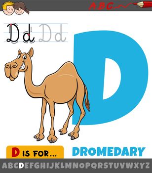 letter D from alphabet with cartoon dromedary animal