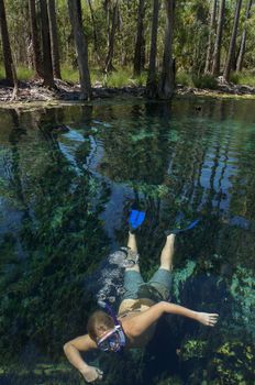 young man is swiming in mataranka hot springs in waterhouse river, mataranka, northern territory, australia,