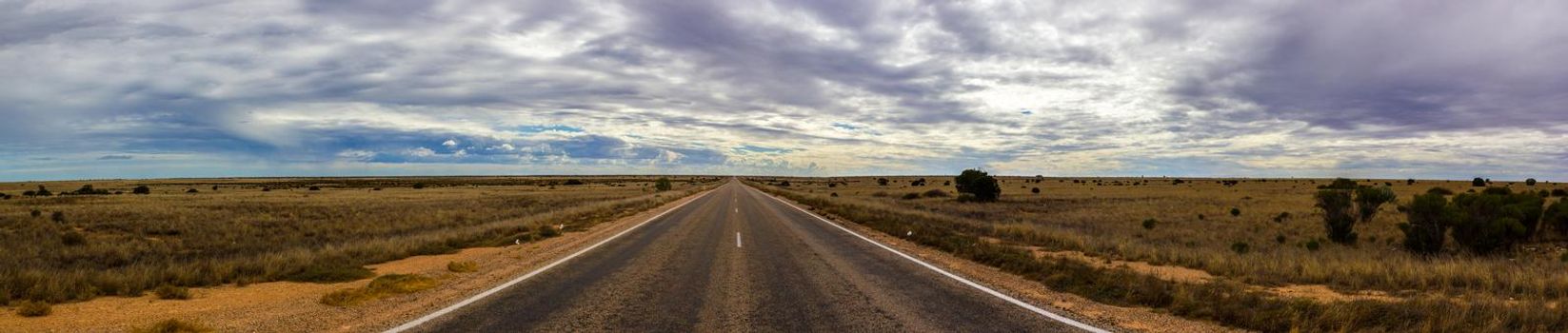 panorama of a straight road through the nullarbor dessert of Australia, South Australia, Australia