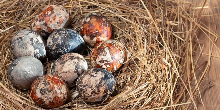 Easter composition - multicolored marble Easter eggs painted with natural dyes in a nest of hay, horizontal banner
