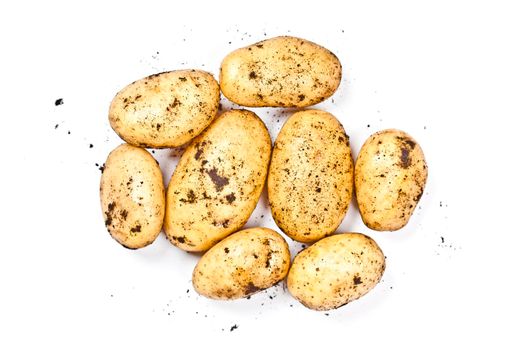 Newly harvested dirty potatoes heap isolated on white background.