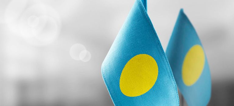 Small national flags of the Palau on a light blurry background
