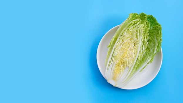 Chinese cabbage on blue background.