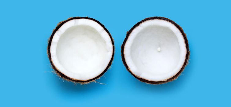 Coconuts on blue background. Copy space