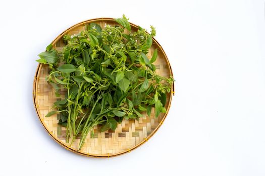 Hairy Basil in bamboo basket on white background.