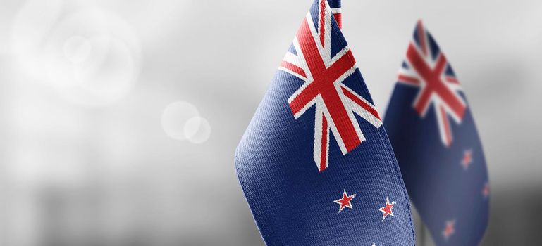 Small national flags of the New Zealand on a light blurry background