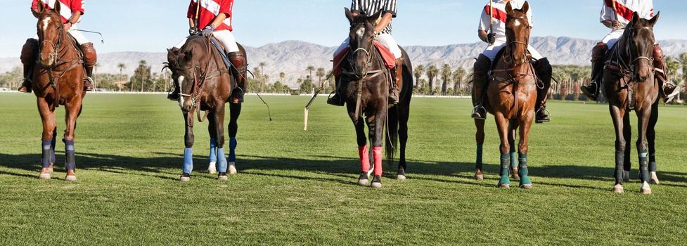Photo of Polo players and umpire mounted on horses on field