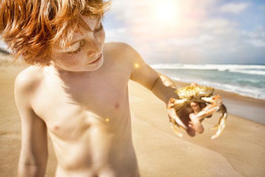 Young shirtless boy holding crab at beach