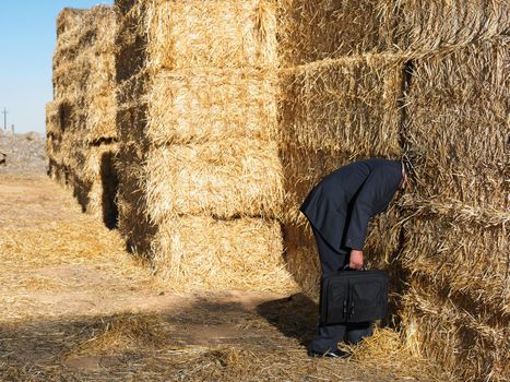 Man with his head stuck in haystack