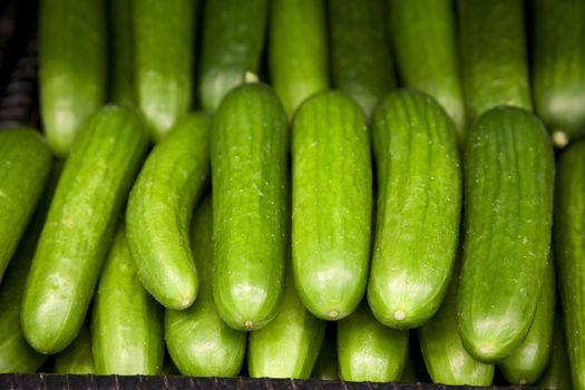 Close-up of cucumber on display in market