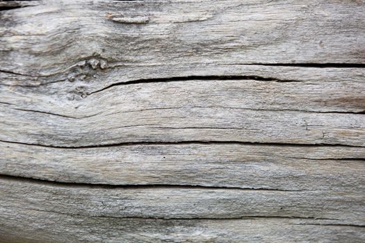 Close up of cracked wood background