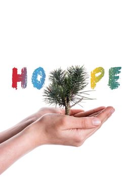 hand holding tree on globe beside HOPE wording