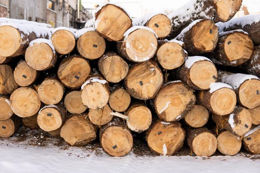 A pile of logs on a sawmill under the layer of snow in the winter season.