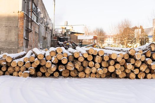 A pile of logs on a sawmill under the layer of snow in the winter season.