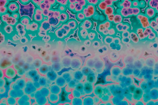 Shape of bacterial cell: cocci, bacilli, spirilla bacteria 