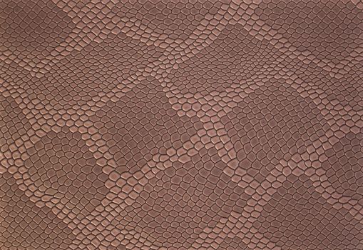 Light brown leather texture background with pattern, closeup. Reptile skin. Beige skin of a crocodile or a snake with vignette. Leatherette.
