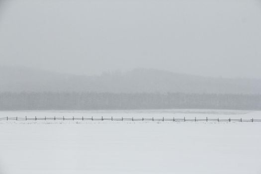 Minimalistic winter landscape
