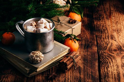 Hot chocolate with marshmallows and gingerbread