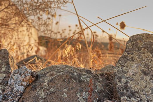 Stones on dry and arid terrain