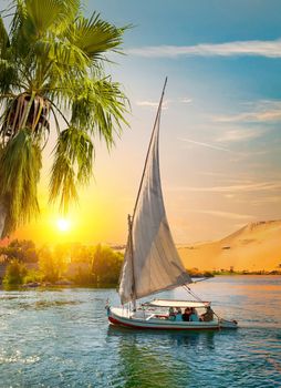 Felucca on river