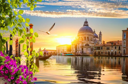 Grand canal and flowers