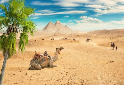 Sandy desert in Egypt