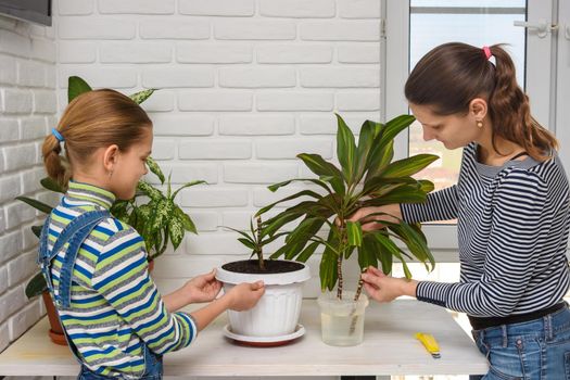 Mom and daughter transplant houseplants