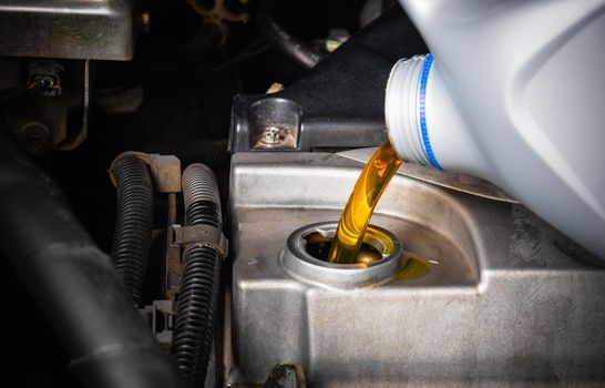 Mechanic in service to repair the car, change lubricant oil