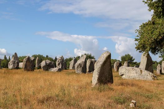 Carnac stones - Alignments of Kermario - rows of menhirs in Brittany