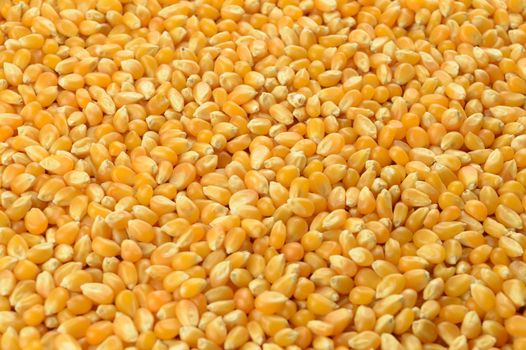 Whole Kernel Corn Background