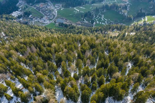 Aerial view of huge valley of the mountains of Italy, Trentino, green meadows, Slopes with green spruce trees, Dolomites on background, The town in the bottom of a valley