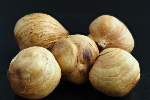 Hazelnut close-up on a black background. Macrophotography of the purified hazelnuts.