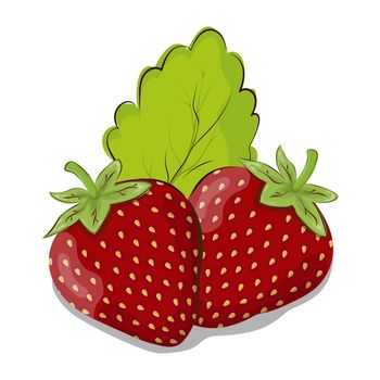 Strawberry and mint leaf. Vector illustration for thematic design