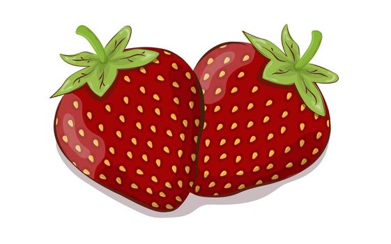 Strawberry. Vector illustration for thematic design