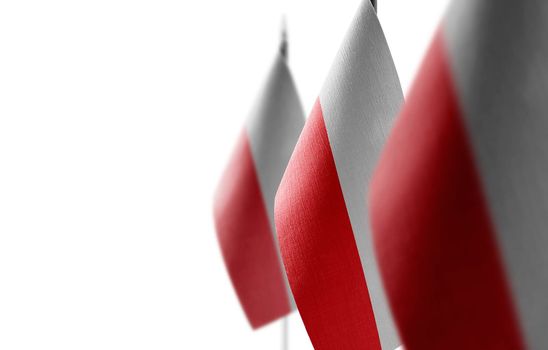 Small national flags of the Poland on a white background