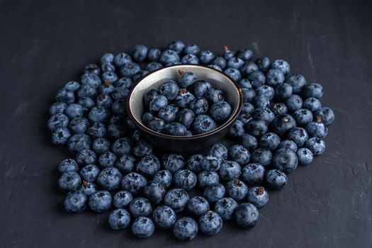 Blueberry antioxidant organic superfood in ceramic bowl concept for healthy eating and nutrition
