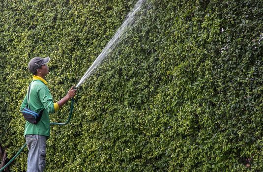 Bangkok, Thailand - Jan 14, 2021 : The gardener was using a rubber hose to water the trees. Injection of water from rubber tube, Copy space, Focus and blur.