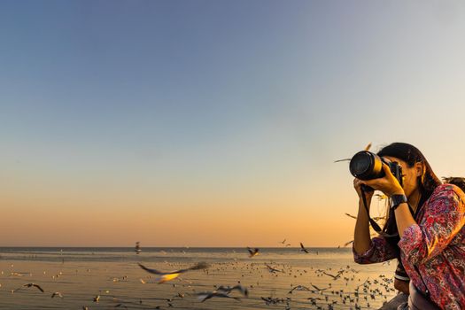 Asian woman taking photo seagulls at Bangpu seaside.