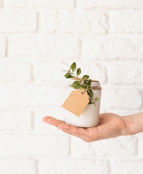 Female hand holding beautiful white candle with fresh leaves on white brick wall background